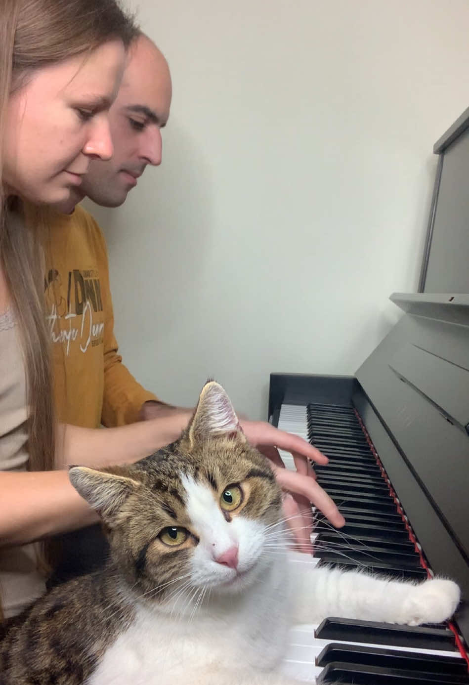 A lesson with Zlatko the cat! @pianists_mariana.dimcho  @runners_dimcho.mariana  #pianopractice #practice #concertpianist #classicalpianist #pianist #pianistsofinstagram #pianistlife #pianists #pianistofinstagram #musik #music #musician #klavierüben #klavier #klavierspielen #klaviermusik #klavierlernen #zuhause #Home #homesweethome #catlover #catlife #catlovers #cats #cats_of_world #catvideos #catvideo #tchaikovsky 