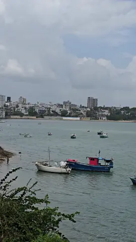 Forodhani Mombasa Old Port #foryou #fy #mombasa #kenya #mombasatiktok #kenyantiktok🇰🇪 #tanzaniatiktok🇹🇿 #kenyansinsaudia #nairobitiktokers #lamutiktokers #zanzibar #trending 
