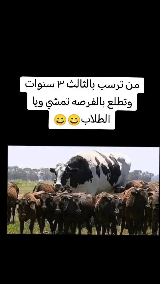 #في هذا اليوم 