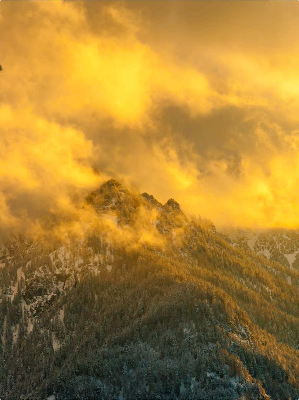 I want it back🏞️ #nature #real #dream #views #free #fyp #viral #sunset #summervibes #sonnenuntergang #Summer #warmersommer #hike #alps #mountains #scenery #mountain #explore #gorpcore #Hiking 