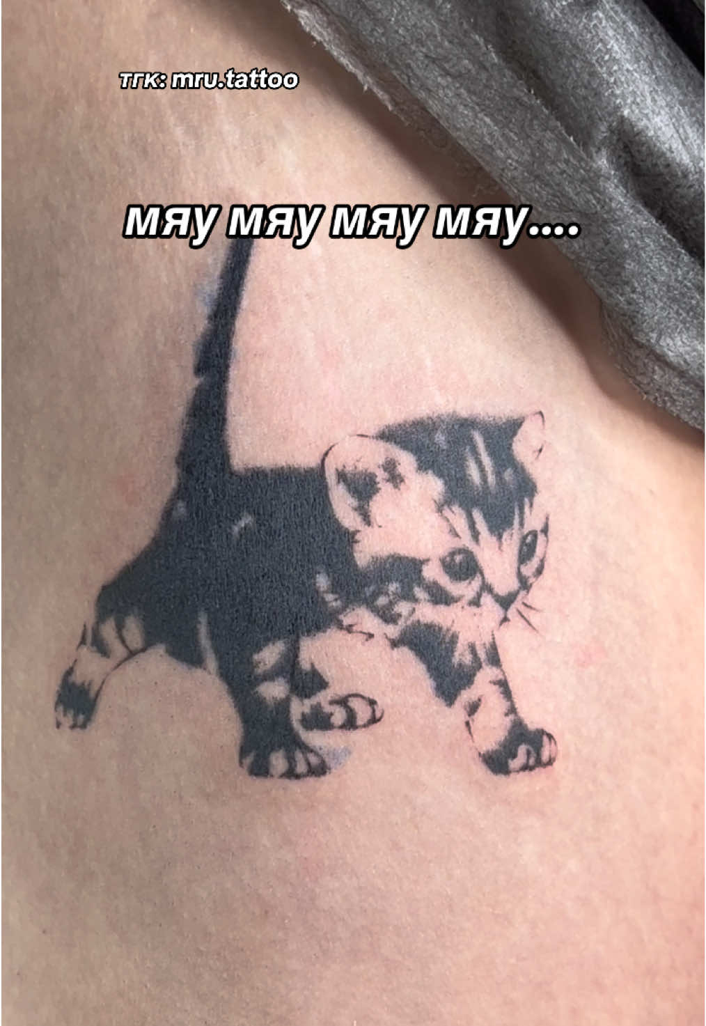 🐱 делаю самую милую тату на свете #тату #татумосква #tattoo #tattooideas #cattattoo #cat #мяу #рек #рекомендации 