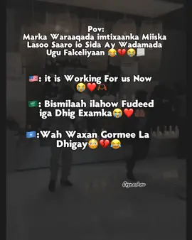 Dhig followda😂😭🫵🏼#viwesproblem #ceynashoow #frpシ #foryoupagee #fryyyyyyyyyyyyyyyyyyyyyyyyy #jawi_bila🌊❤️🌴 #somalitiktok12 #somali 