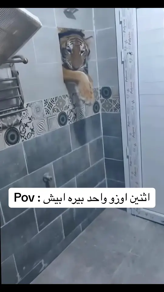 #comedia #رياكشن #pov #رياكشنات #رياكشنات_مطلوبه #fyyyyyyyyyyyyyyyy #tiktoktravel #رياكشن  #tiktoktravel #LearnOnTikTok #whertovisit #sportsontiktok  #BookTok  #GamingOnTikTok  #WhereToEat  #tiktoksion  #whattowatch   #عائلتي 