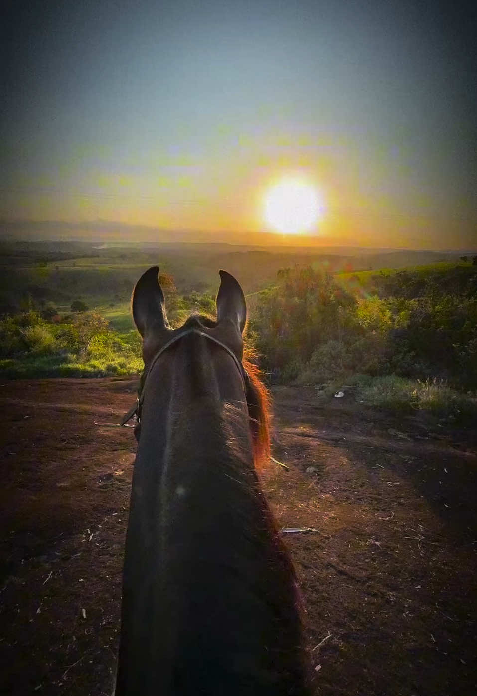 #som_do_marchador #mangalargamarchador #abccmm #viralvideo #viraltiktok #reflexaododia #cavalosminhapaixão🐎❤️ 