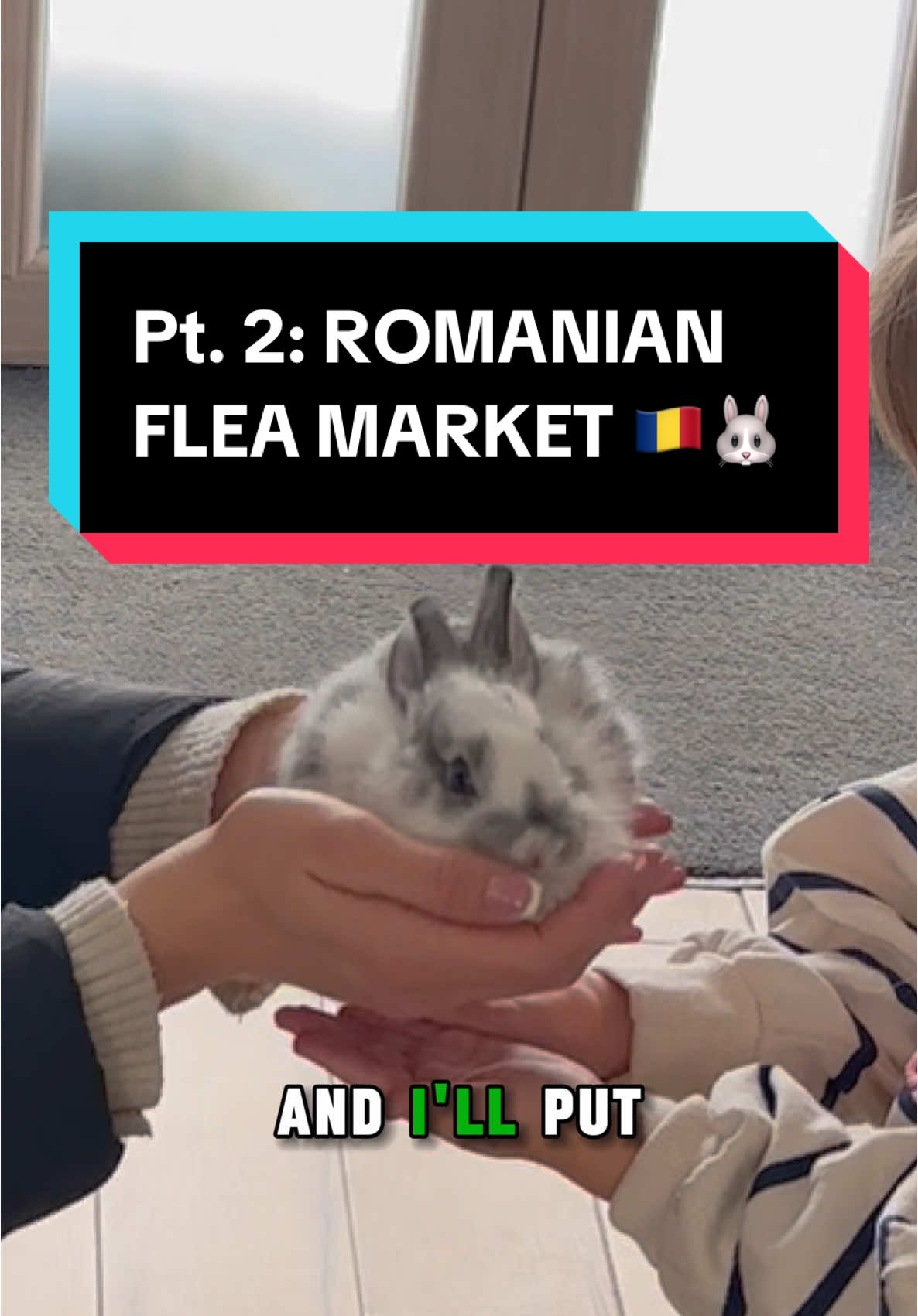 Part 2 of the Romanian Flea Market finds! Dot the bunny meets our daughter! 🤭🥹🐰🧺 #piata #visitromania #oradea #piata100 #sundayreset #surprisegift #minifarm #babybunny #antiquemarket #europeanmarket #expatlife #fypromania