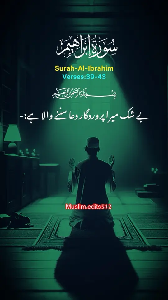 #islam #qurantranslationurdu #alquran #trending #fyp #unfrezzmyaccount 