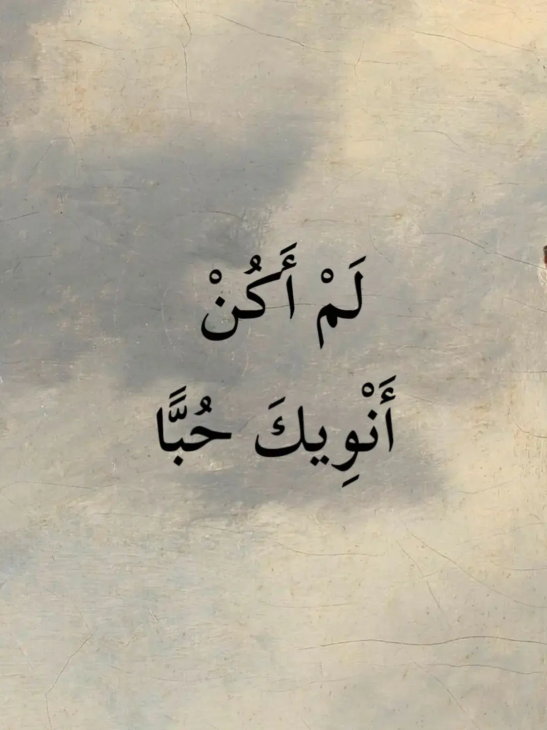 لَمْ أَكُنْ أَنْوِيكَ حُبًّا #تصميم_فيديوهات🎶🎤🎬  #ادبيات  #ناصربدوي  #اكسبلور  #فصحى  #تصميمي #ستوريات  #شعروقصايد