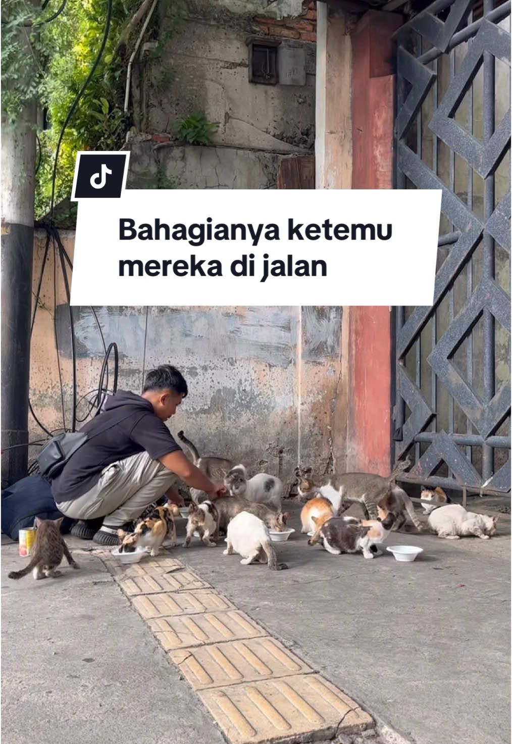 Ngejalanin ini semua penuh kenikmatan dan kebahagiaan #streetfeeding #catlovers #animallover 