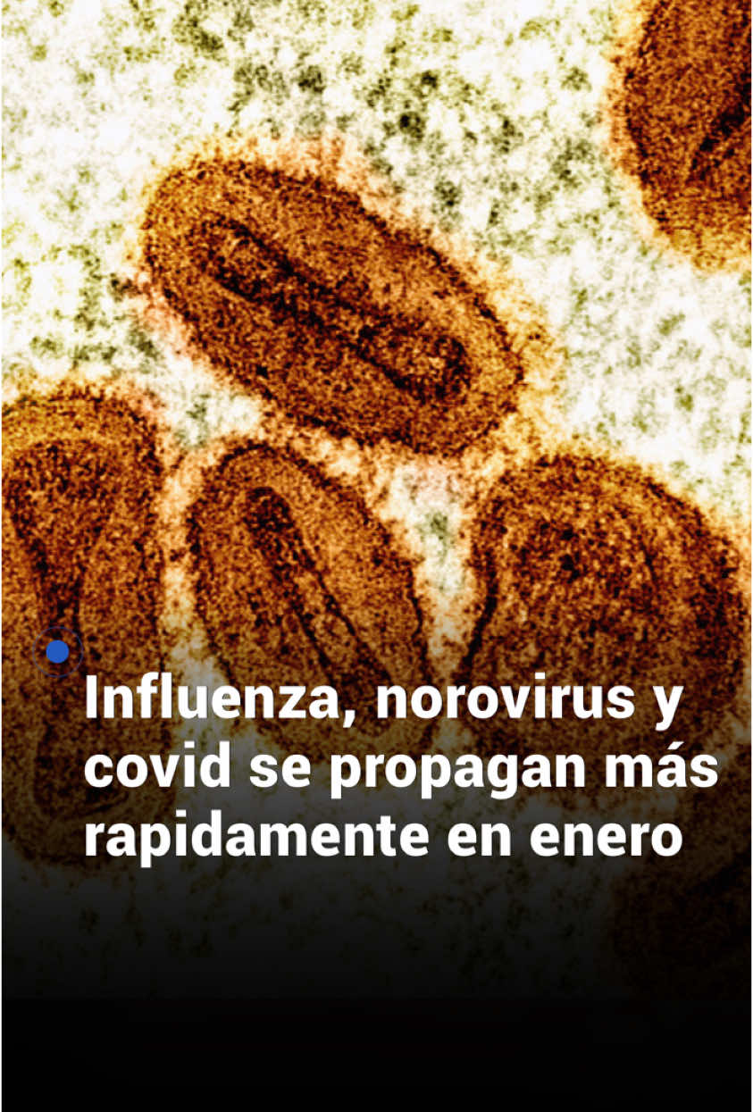 🦠 Influenza, norovirus y covid: las enfermedades que se propagan más rápidamente a principios de año. El doctor Joseph Varón nos explica por qué son más comunes en esta época del año y qué podemos hacer para no ponernos en riesgo ante estas enfermedades. 📺 No te pierdas el Noticiero Univision Edicion Digital de lunes a viernes a las 12pm/11C por Univision. #salud #health #doctor #enfermedades #Covid19 #influenza #Uninoticias #UnivisionNoticias