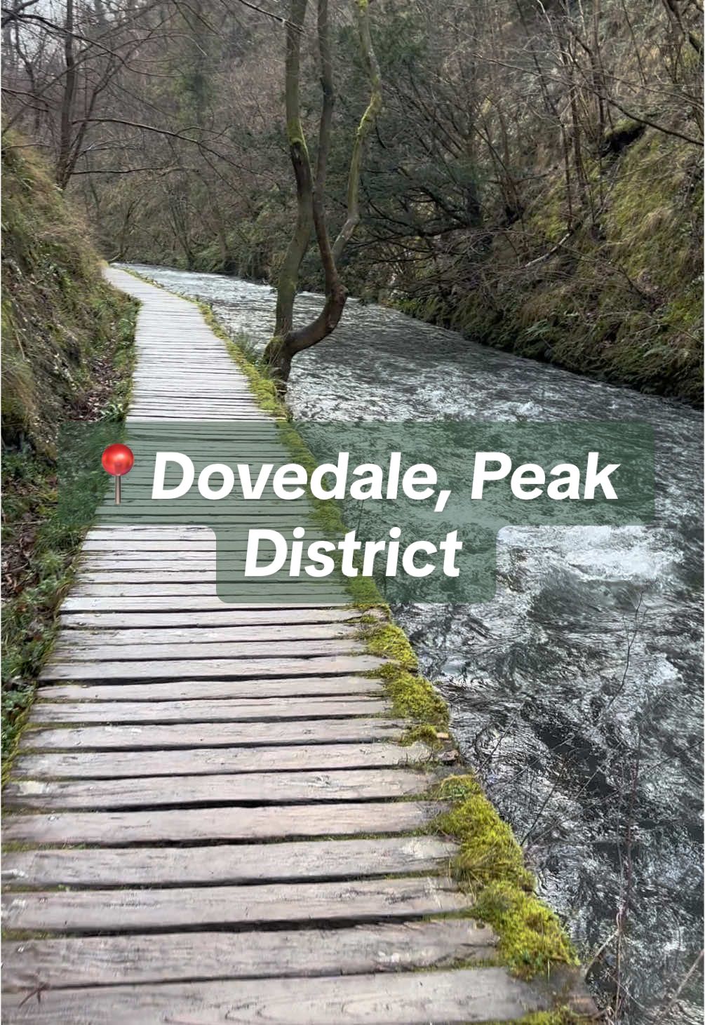 📍Dovedale, Peak District  I love walking down the valley here and listening to the sound of the water! #Hiking #walks #hiketok #adventure #explore #Outdoors #solohiking #soloadventure #travel #foryou #girlswhohike #river #dovedale #peakdistrict #peakdistrictnationalpark #staffordshire #derbyshire 