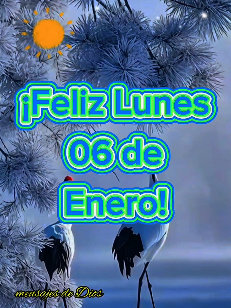 Buenos Días! Feliz Lunes 06 de Enero! #buenosdias #buenosdiasmundo #buenosdiasporlamañana #buendia #felizdia #felizlunes #enero #2025 