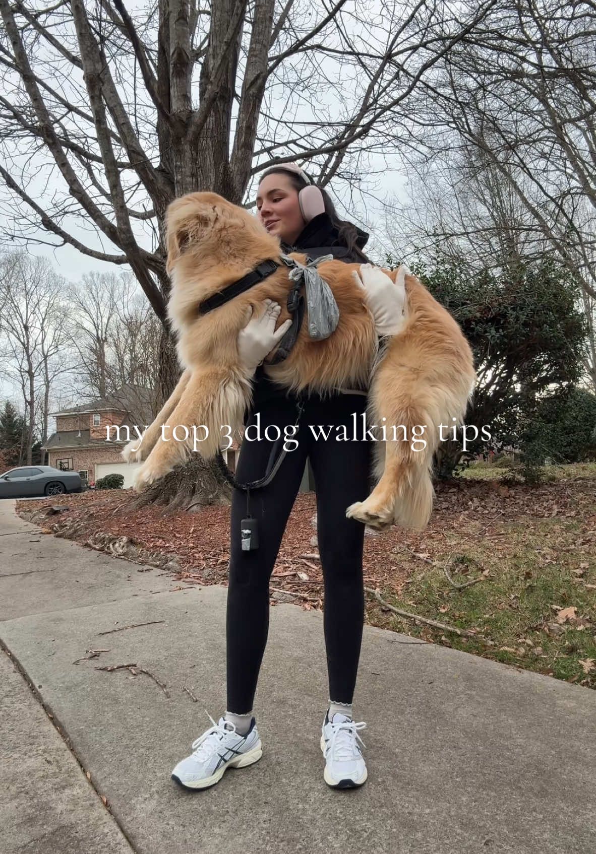 I promise the last one works every single time #fyp #LifeHack #lifehacks #tips #goldenretriever #goldenretrieverlife #DogTraining #dogsoftiktok #dogtok #dogtips #dogwalking #walking #howto #dogtricks 