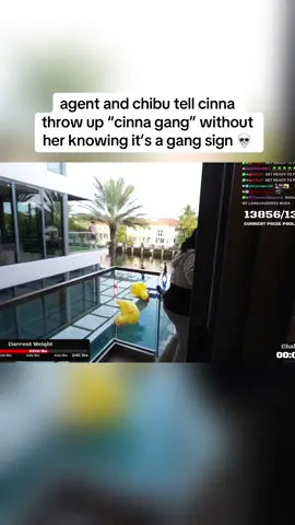 agent and chibu tell cinna throw up “cinna gang” without her knowing it’s a gang sign 💀 #agent #agent00 #chibu #alinity #amp #viral #fyp #cinna 