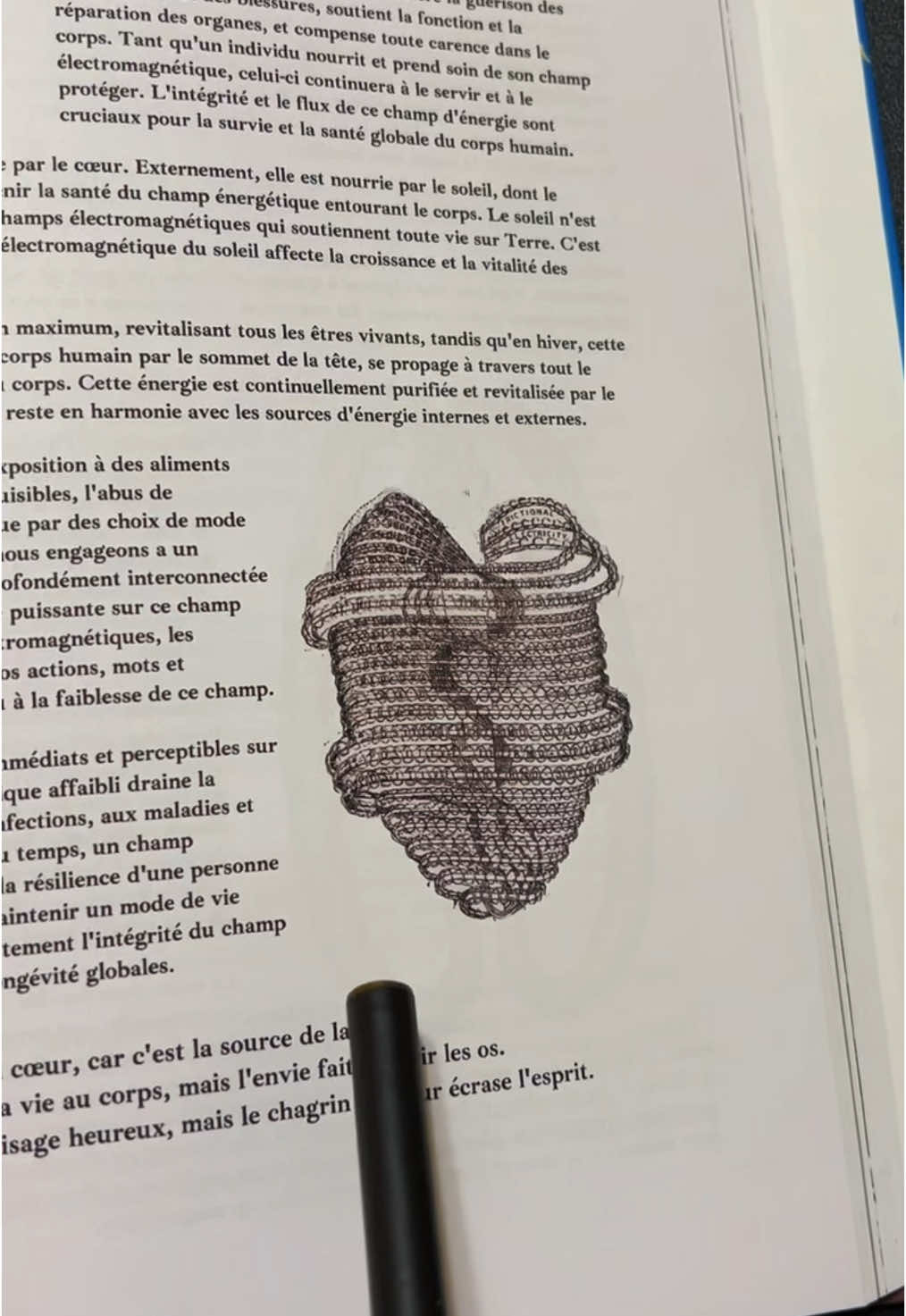 L’alcool est une potion magique🧪 📕: Volume 2 du Livre de la Sagesse #dieu #esprit #spiritualité 