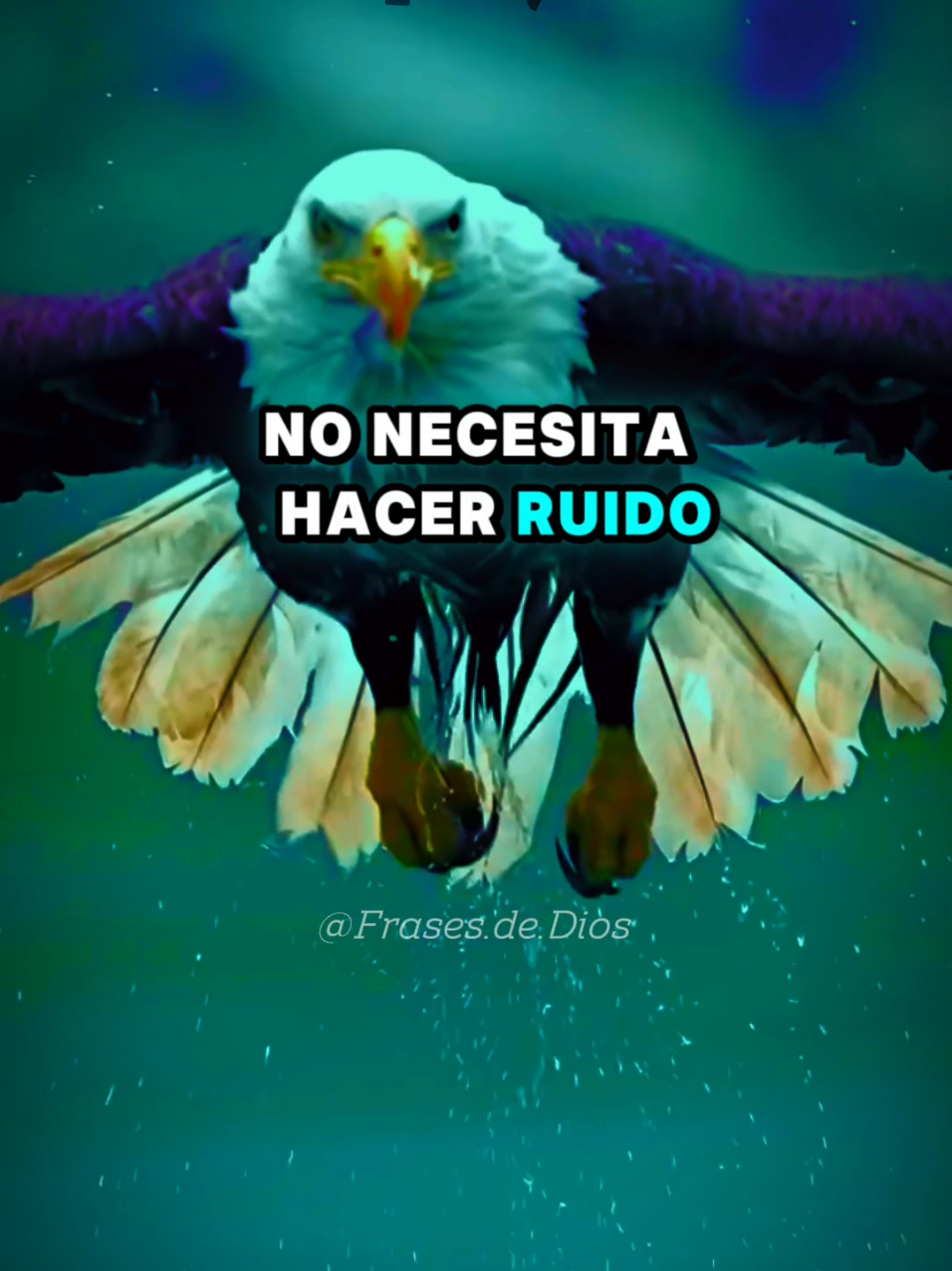 La gente que se cree más que otros, en realidad son más inseguros #frasesmotivadoras #reflexionesdelavida #motivacion #Dios #diosconnosotros #actitudpositiva #refleccionesdelavida 