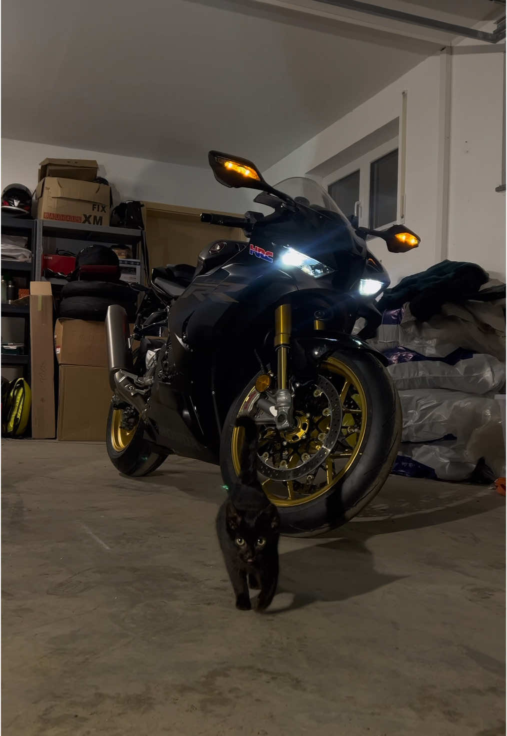 #honda #fireblade #hondafireblade #1000cc #hondacbr #hondacbr1000rr #foryouu #bikes #hondabike #bikeandcats #catlover 