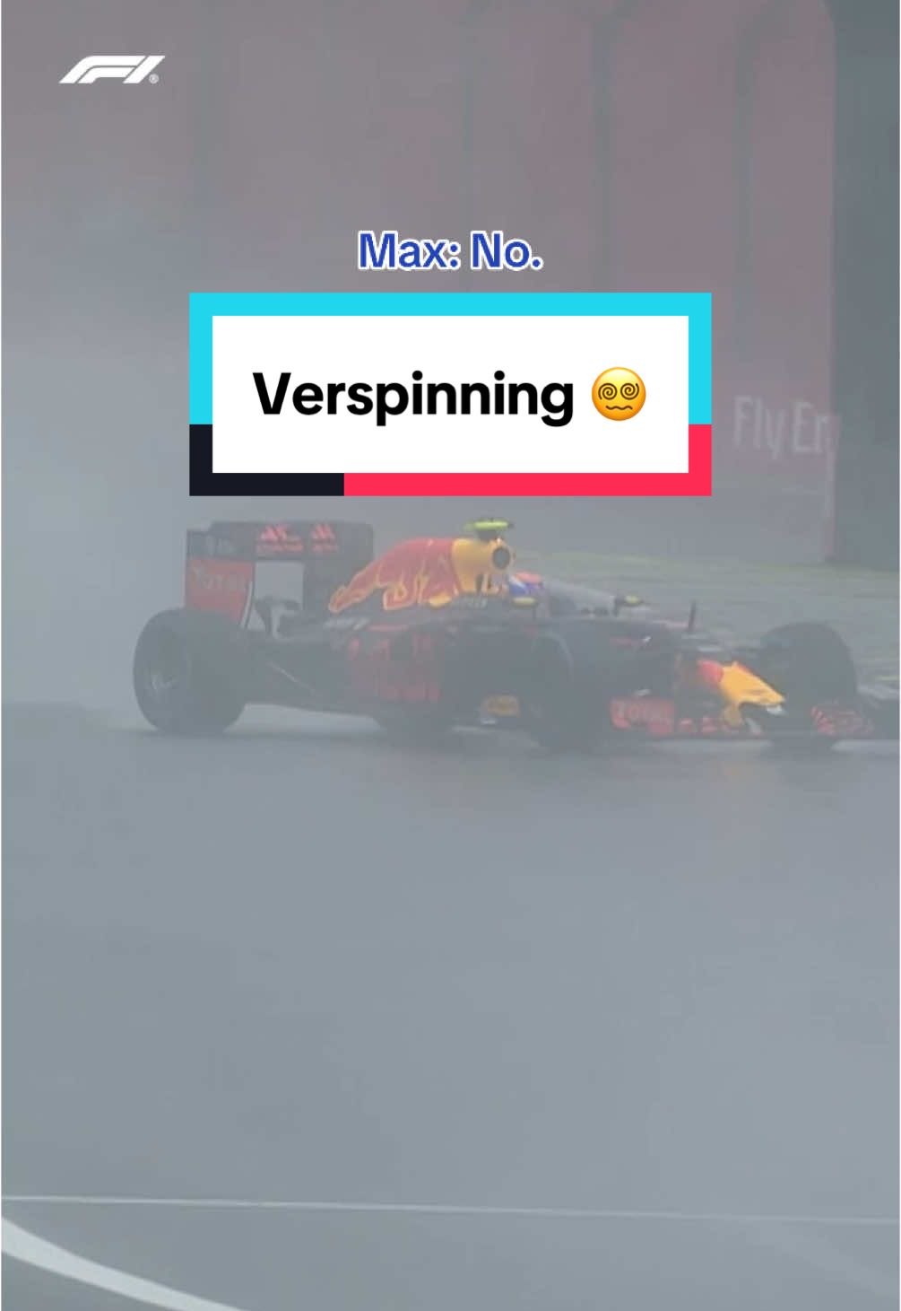 cats always land on their feet 😸 #f1 #formula1 #sport #maxverstappen #spin #redbull 