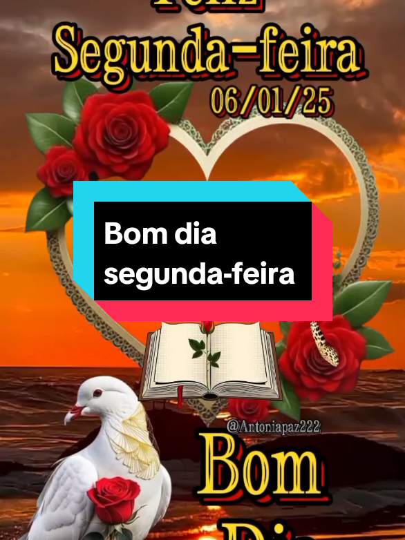 Bom dia ótima segunda-feira  #Bomdia #oraçãodamanhã #motivação #viral 