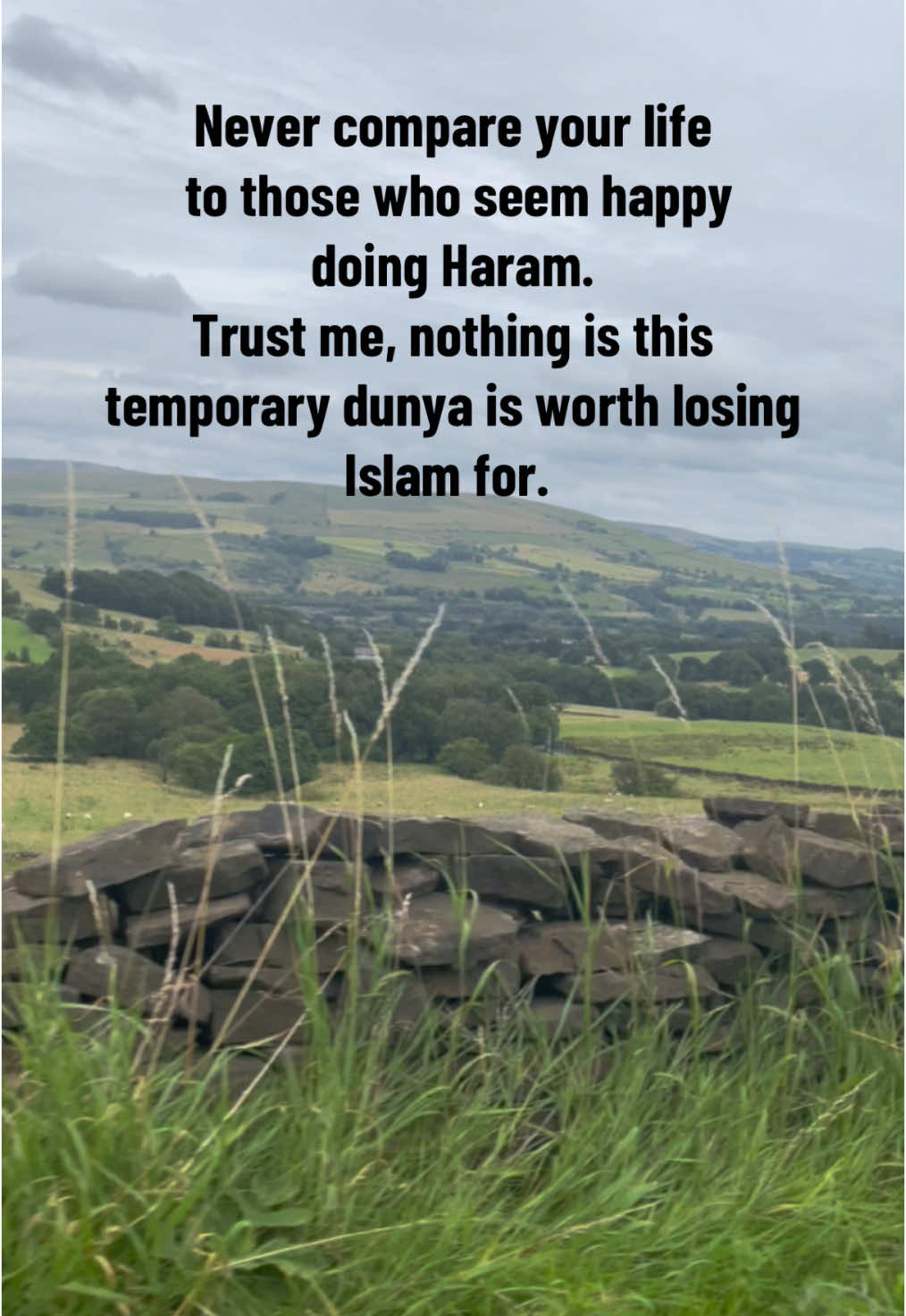 #islamic #islamic_video #islamicvideo #peace #haram #muslim 