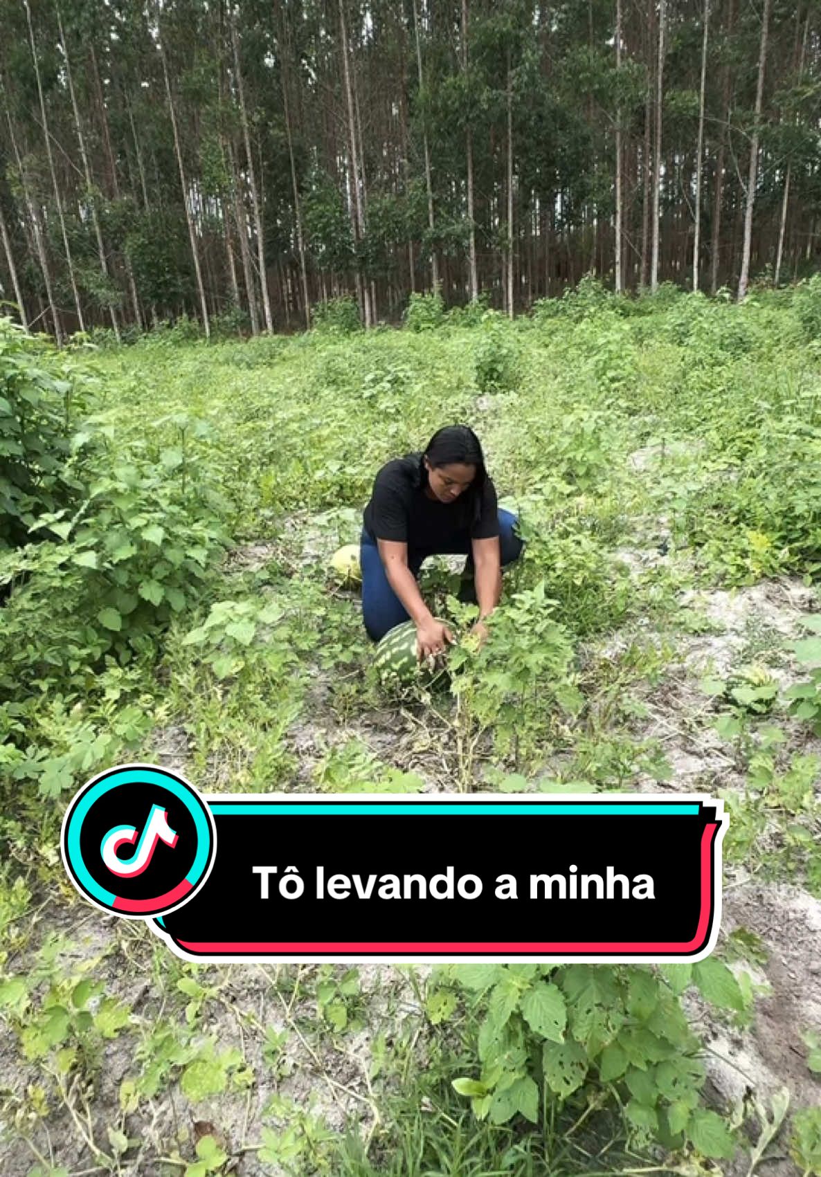 Tô levando a minha 