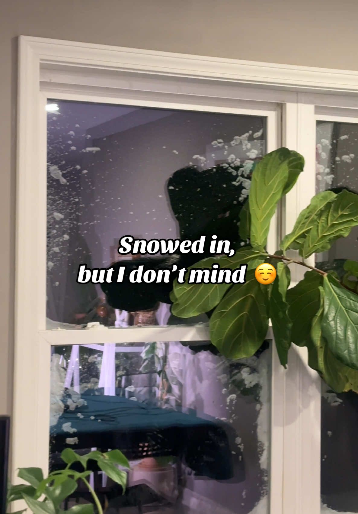 Kansas POV  . . . #blizzard #blizzard2025 #kansascity #kansas #creatorsearchinsights #pothos #plants #snow #snowedin #winterstorm #kck #kcmo #emergencyservices #emergencyalert #weather #weatherreport #storm #missouri #travel #snownado #kansascitysnow #kansascityicestorm #winterstorm2025 #kansascitysnowstorm #kansassnowstorm #fyp #foryoupage 