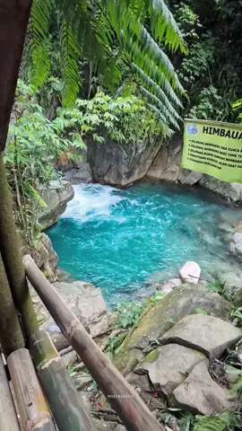 bagus si tapi sayang masih ada aja sampah botol heraan 🙃 . . . . #curug #curugbogor #curugcibaliung #curugcibaliungbogor #creatorsearchinsights #explorebogor #jawabarat #trip #opentrip #TTPetualangNewbie 