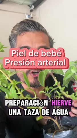 Piel de bebé y presión arterial #salud #nature #medicina #oregano  #estevia 