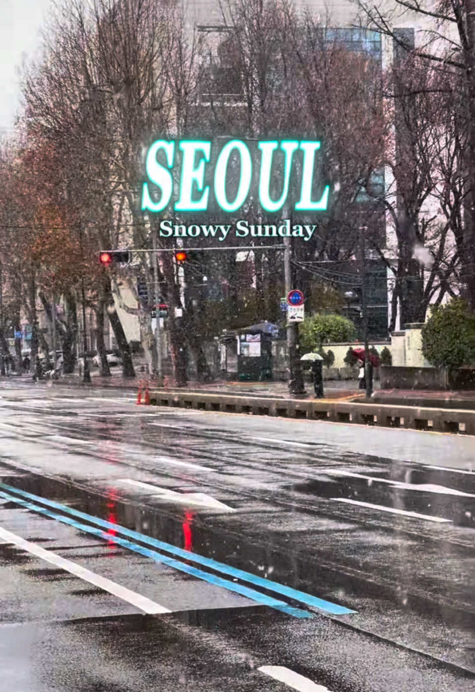 눈오는 일요일 🇰🇷🌨️ Snowy Sunday #대한민국 #southkorea #틱톡여행 #keeptiktok #longervideos #tiktoktravel #fyp #annyeongajeossi #visitkorea #kdrama #kpop #epskorea #seoul #seoultravel #seoultrip #서울 #서울여행 #서울시 #눈 #눈물의여왕 