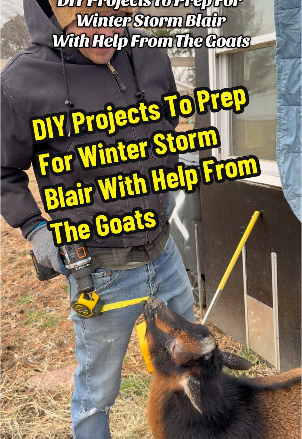 DIY Projects To Prep For Winter Storm Blair With Help From The Goats #fyp #goats #farmanimals #goatsoftiktok #snowstorm #winterstorm #nigeriandwarfgoats #farmlife #winter #DIY #diyprojects #missouriweather #creatorsearchinsights #stlouis #funnypets #hubby goat pet, Nigerian dwarf goat, pet goat Snow Storm January 2025, Missouri snow storm, snow storm Blair, winter storm Blair, winter storm Jan 2025, winter storm, winter vortex, winter vortex 2025