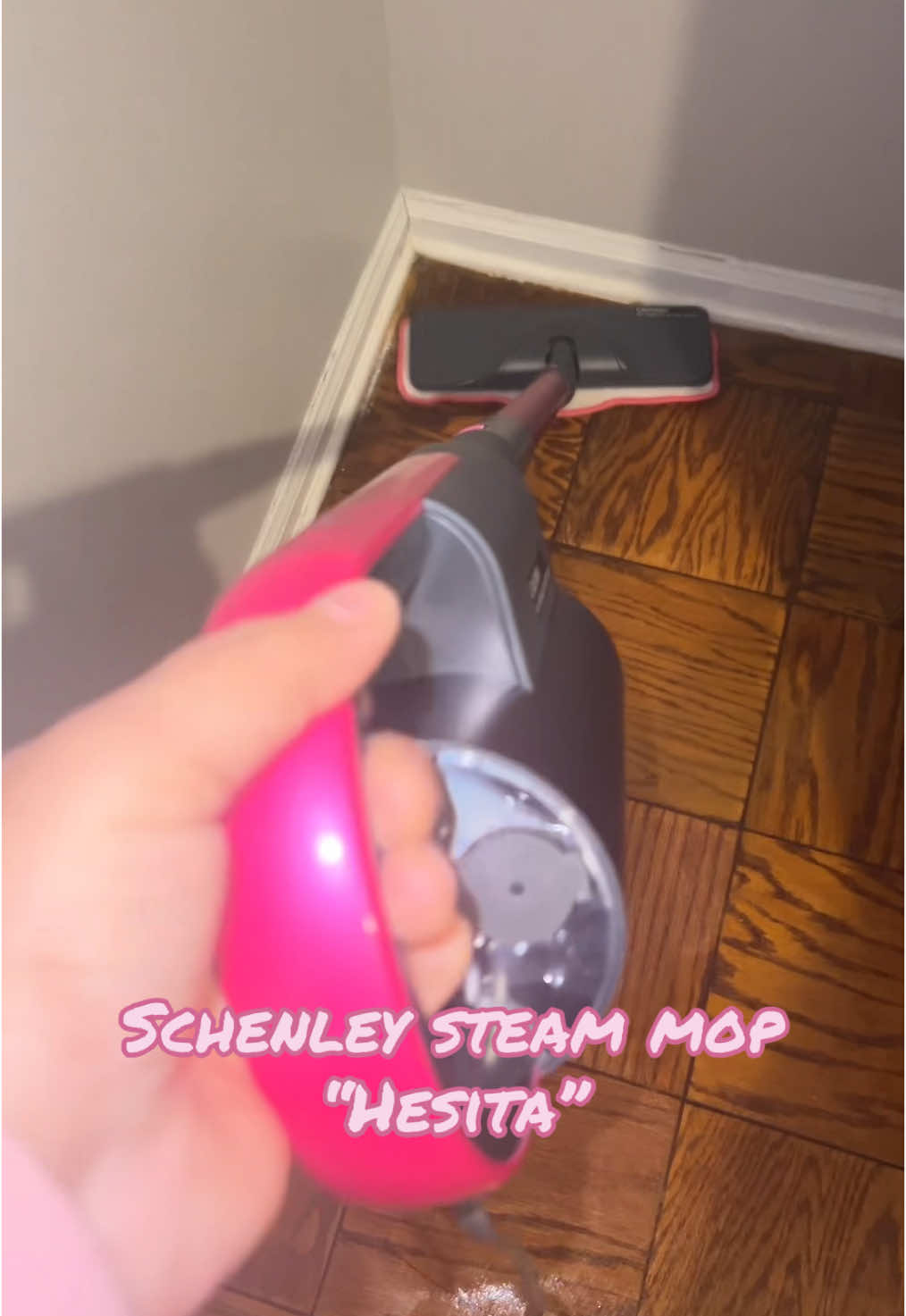 #steamcleaning #steammop #schenleyhestiasteammop #schenley @schenley_tech #fy #fyp #fypシ 
