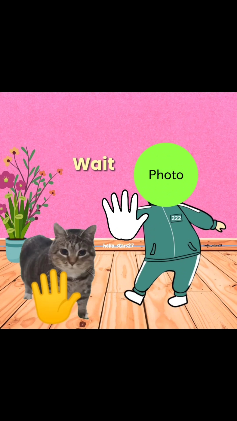 TEMPLATE FUNNY CAT & PLAYER 222 DANCE | Klik 