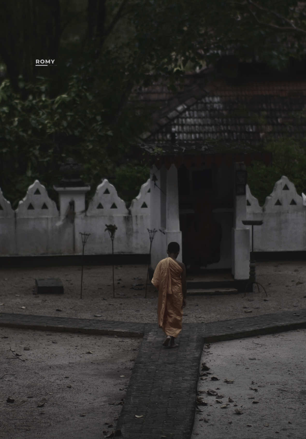 අපි මොනවද මේ ජිවිතේ ගැන දන්නේ 🌿 #buddhavibes #buddhism #templevibes #videography #fyp #srilankatemple #romy0 