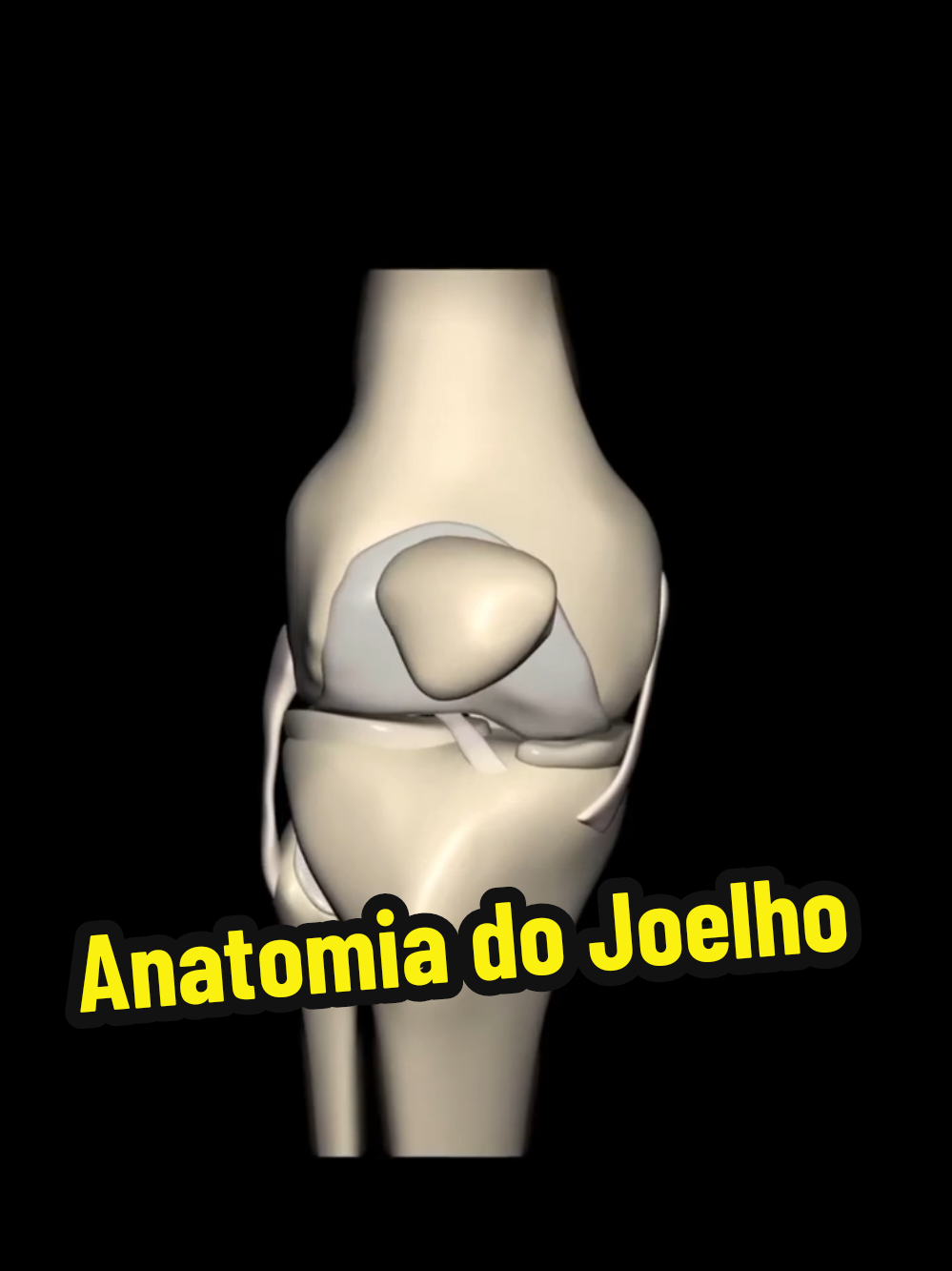 O joelho é uma das articulações mais complexas e importantes do corpo humano. Ele conecta a coxa à perna, permitindo movimento e suporte de peso. Sua anatomia inclui estruturas ósseas, cartilaginosas, ligamentares, musculares e tendíneas. #anatomia #joelho #foryou
