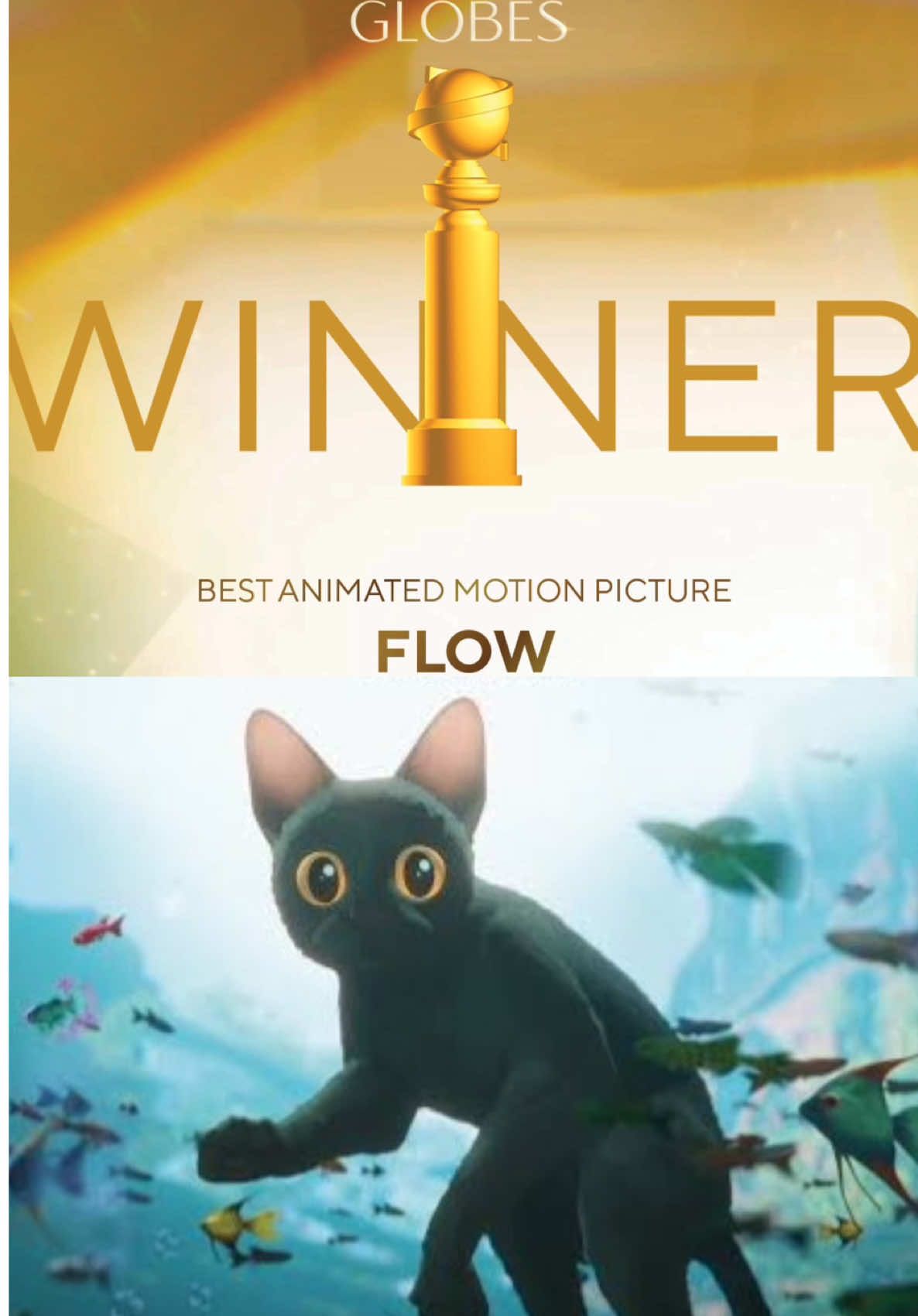 Flow gana el Blobo de Oro como Mejor Película Animada 🐈‍⬛  #aldoyate #sala7 #flow #goldenglobes #goldenglobes2024 #robotsalvaje #wildrobot  @aldo YATE 