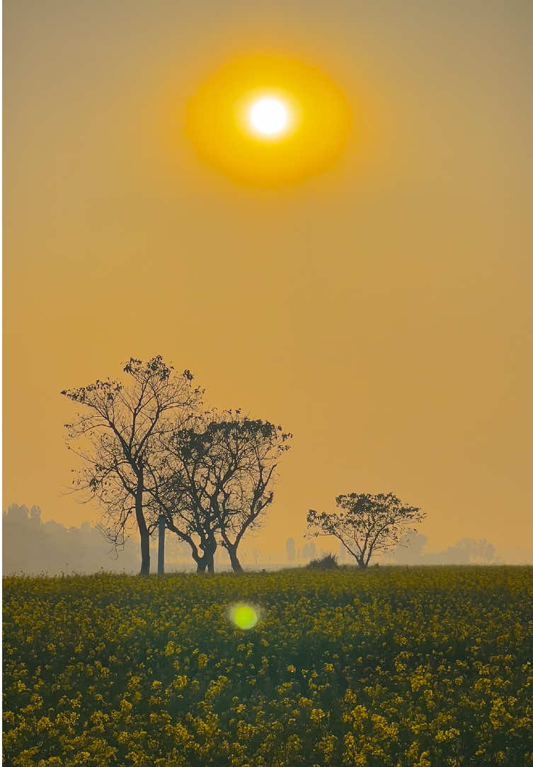 • যদি শান্তি চাও, প্রকৃতির মাঝে হারিয়ে যাও──༅༎ 🍃🌿 #প্রকৃতি #sky #tree #fyp #fypシ #fypシ゚viralシ #unfrezzmyaccount #tiktok #shorts #song #weather #views #reels #nature #natural #scenery #foryou #trending #viral #viralvideo #sunset #akash #NaYaN #NaYaN56 @TikTok @tiktok creators @TikTok Bangladesh 