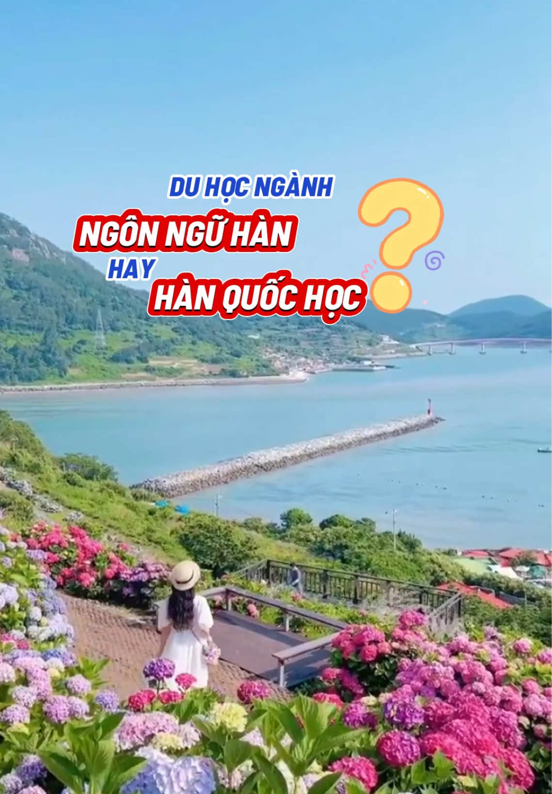 Du học Hàn Quốc nên chọn ngành “Ngôn ngữ Hàn” hay “Hàn Quốc học” #duhochanquoc #duhochanquoc🇰🇷 #xh #xuhuong 