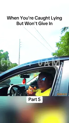#foryoupage #foryou #cops #police #sheriff #copsoftiktok #policeofficer #fyp #bodycam 