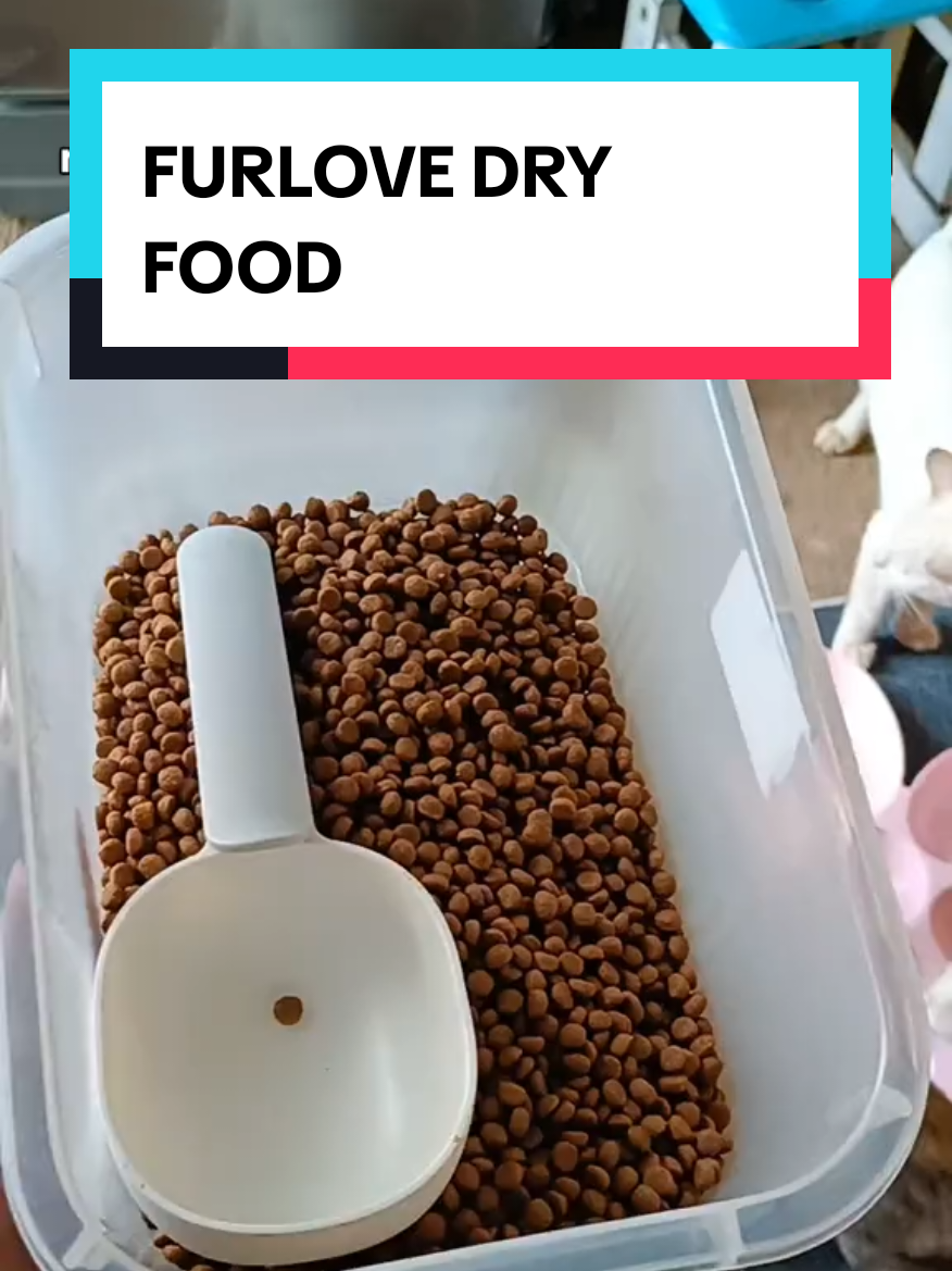 Dati yung 💩 nila masusuka ka sa sobrang sangsang ng amoy hindi mo kakayanin magdakot ng walang mask 😅 #catfood #furlove #dryfood #furlovedryfood 