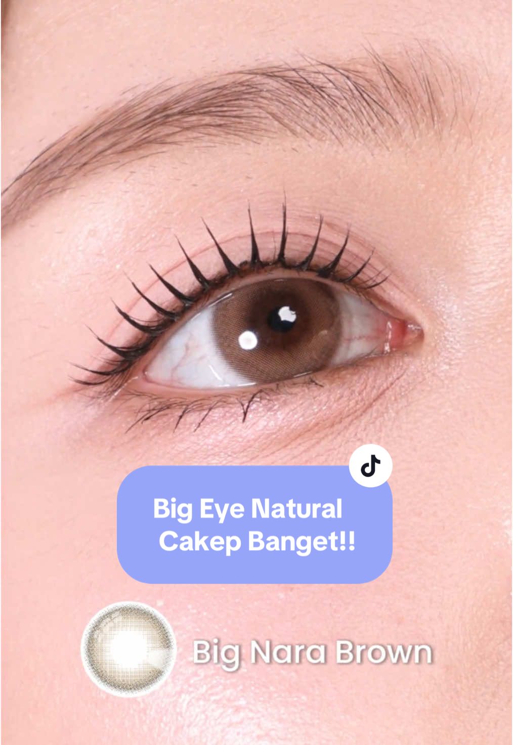 😱Selalu direquest nih‼️ Akhirnya hadir big eye softlens tapi natural bangettt! Gak bikin norak samasekali malah mata lebih pop up cantik bangett🥹💕 Nanda arsyinta aja langsung auto jatuh cintaa bebbb cuss deh check out sekarang juga💗💗 #bestseller #narabrown #pinkrabbitlens #erabarusoftlens #rekomendasisoftlens #softlenskorea #softlensbigeyenatural #bigeyenatural 