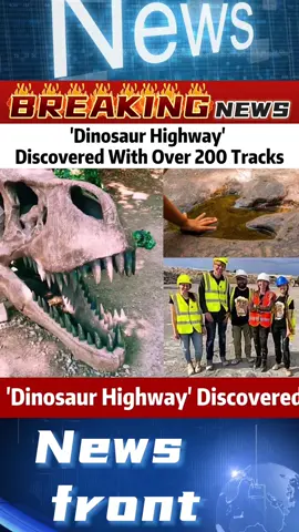 'Dinosaur Highway' Discovered With Over 200 Tracks#news #foryou #fyp #usa #tiktok 