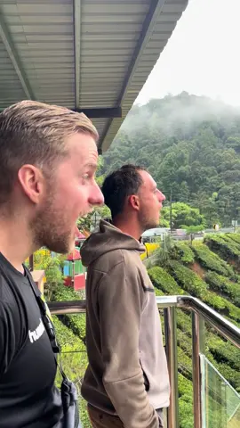 Cameron Highlands📍#malaysia #strawberry #tea #cameronhighlands #cameronhighland #fyp #jungle #view #mountains #mouth 