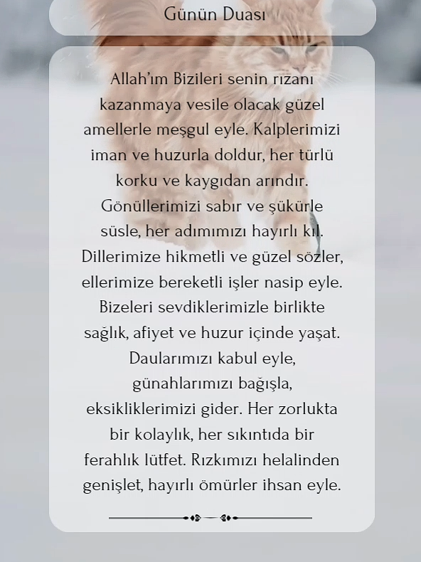 Rabbim, tüm dileklerimizi ve dualarımızı hayırlısıyla kabul etsin. Gönlümüzü ferahlatacak güzel haberleri en yakın zamanda yaşamayı nasip etsin. 🤲🌺 #dua #allah #islamAllah #islamiyet #ramazan #ramazanbayramı #Allah #islamic 