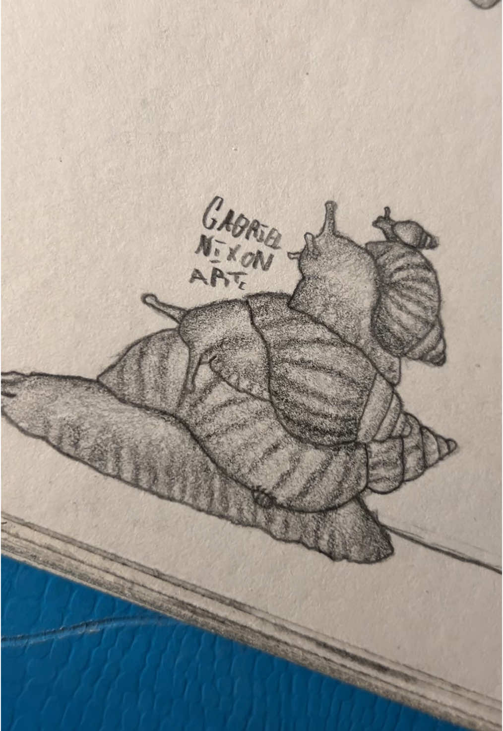 The immortal Snail on top of the Snail pile🐌                  #fyp #art #sketch #drawing #snail #evanescence #foryouuuuuuuuuuuuu 