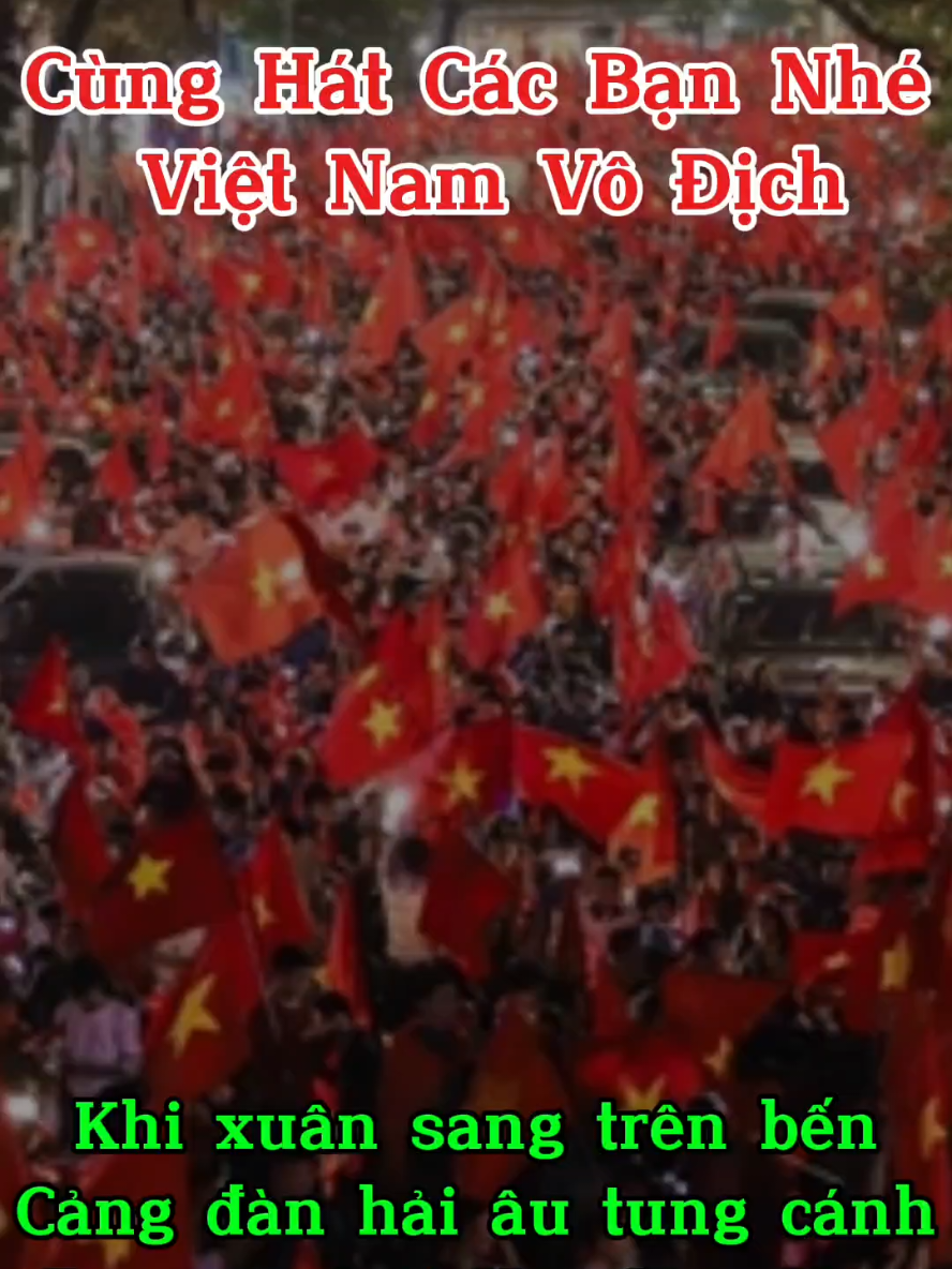 Việt Nam Vô Địch ❤️❤️ Cùng Hát Chung Niềm Vui Đất Nước Các Bạn Nhé !!!  #dabong #dibao #niemvui #vietnamvodich #duet #xuhuong #bencangquehuongtoi 