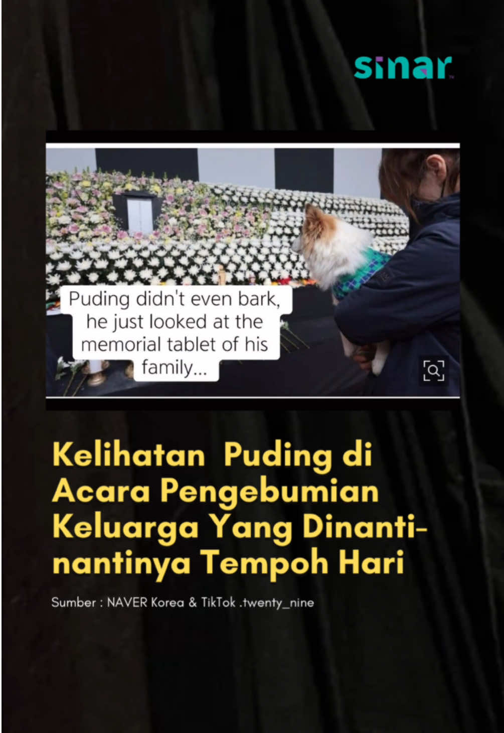 Kesiannya Puding 🥹💔  Puding merupakan seekor anjing yang setia menunggu 9 ahli keluarganya yang tidak akan pulang ke rumah mereka lagi. Sembilan ahli keluarga Bae, yang merupakan Tuan kepada Puding, maut dalam nahas pesawat Jeju Air pada 29 Disember 2024 lalu.  #SINARKongsi #SINARMuzikRetroTerbaik #NahasJejuAir #Accident #Korea #fyp #foryoupage #trending #viral #puding 