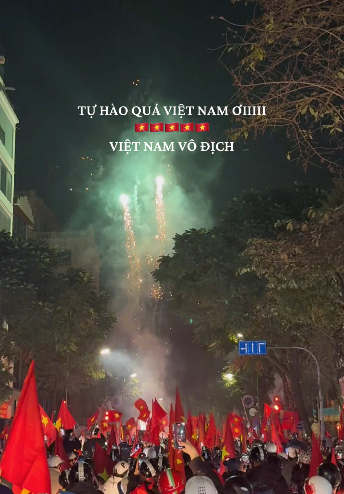 TỰ HÀO QUÁ VIỆT NAM ƠIIIII 🇻🇳🇻🇳🇻🇳🇻🇳🇻🇳 VIỆT NAM VÔ ĐỊCH #vietnam #vietnamvodich #dibao #xuhuong