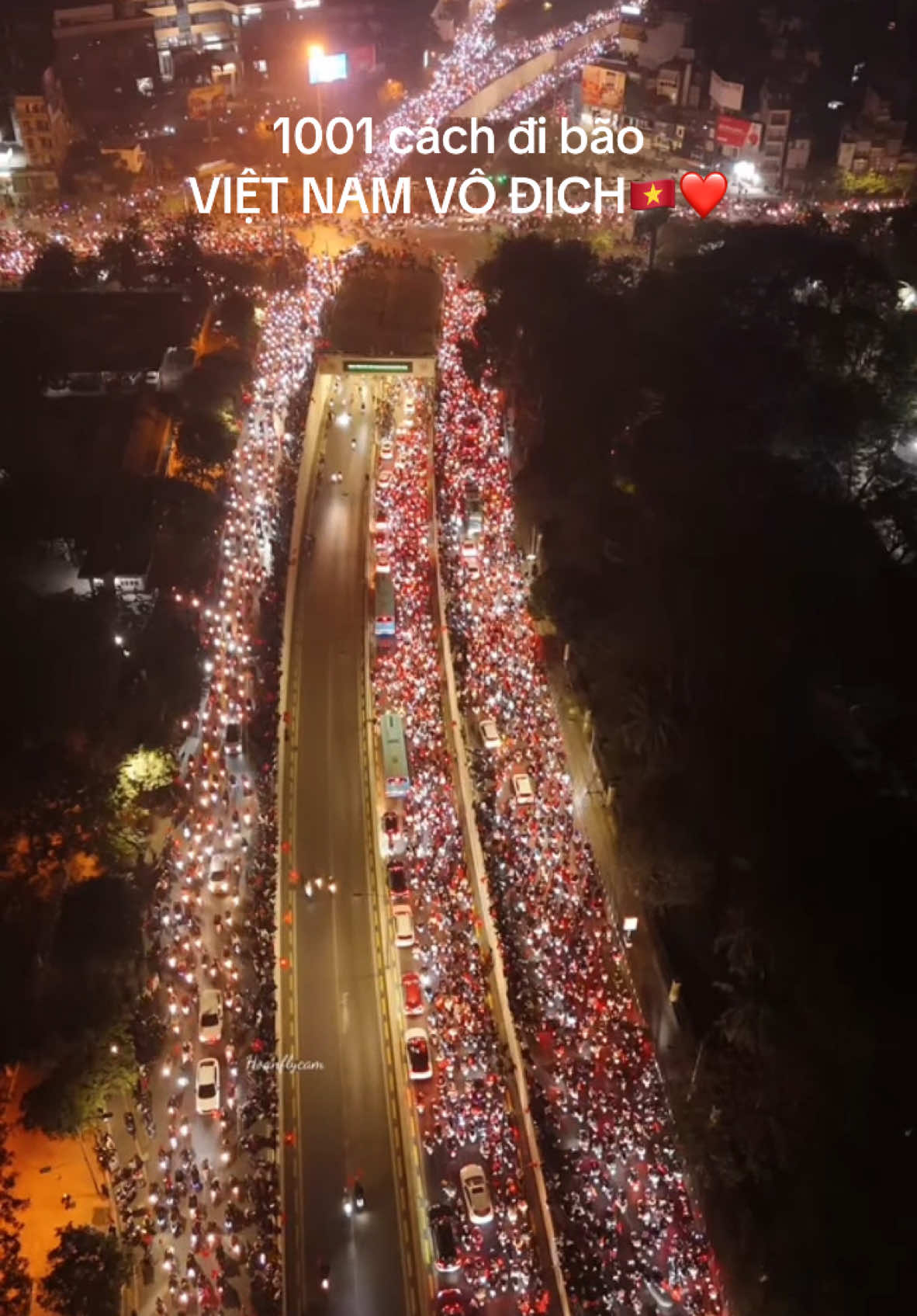 VIỆT NAM VÔ ĐỊCH❤️🇻🇳#vietnamvodich #affcup #toiyeuvietnam #vinhomessmartcity