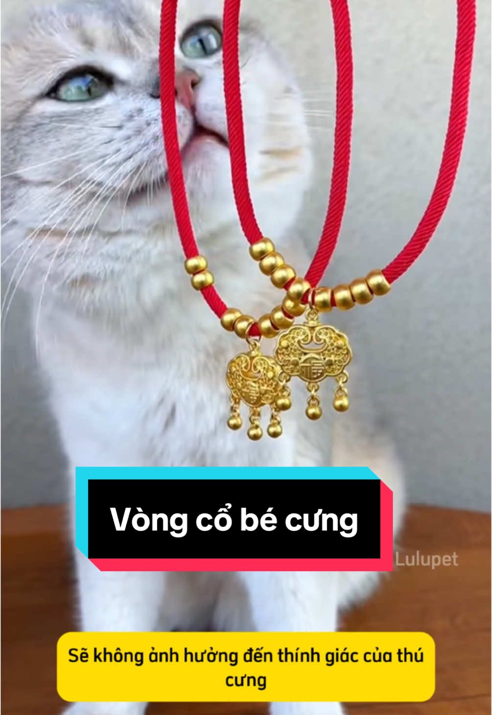 Vòng cổ năm mới có thú cưng #xuhuong #lulupetspa #thanhpetspatainha #ticipetspa #ticipet #catsoftiktok #phukienthucungticipet #cat #fyt #viral #muataitiktok #meo #cho #vongco #vongcochomeo #vongcothucung #muataitiktokshop #vongcochomeo 