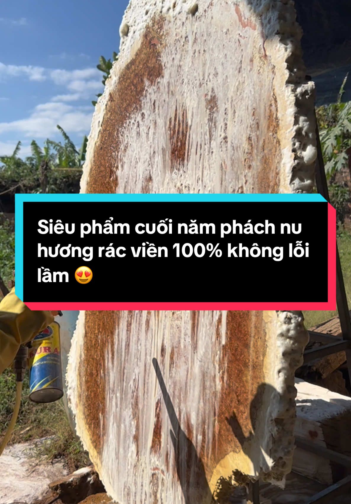 Siêu phẩm cuối năm phách nu hương rác viền 100% không lỗi lầm 😍