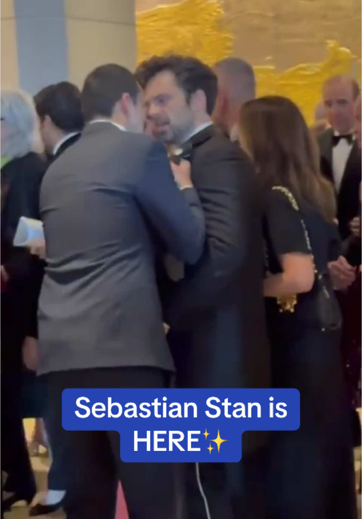 Sebastian Stan has a playful exchange as he leaves The Golden Globes  #sebastianstan #adifferentman #theapprentice #goldenglobes #news 